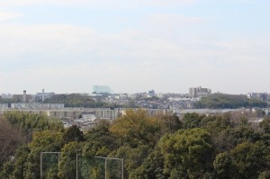 IMG_3378