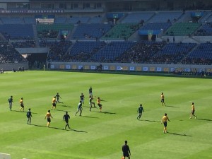 IMG_8021