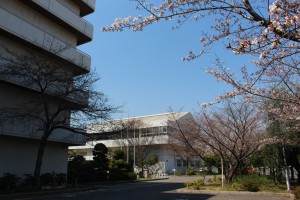 IMG_2661